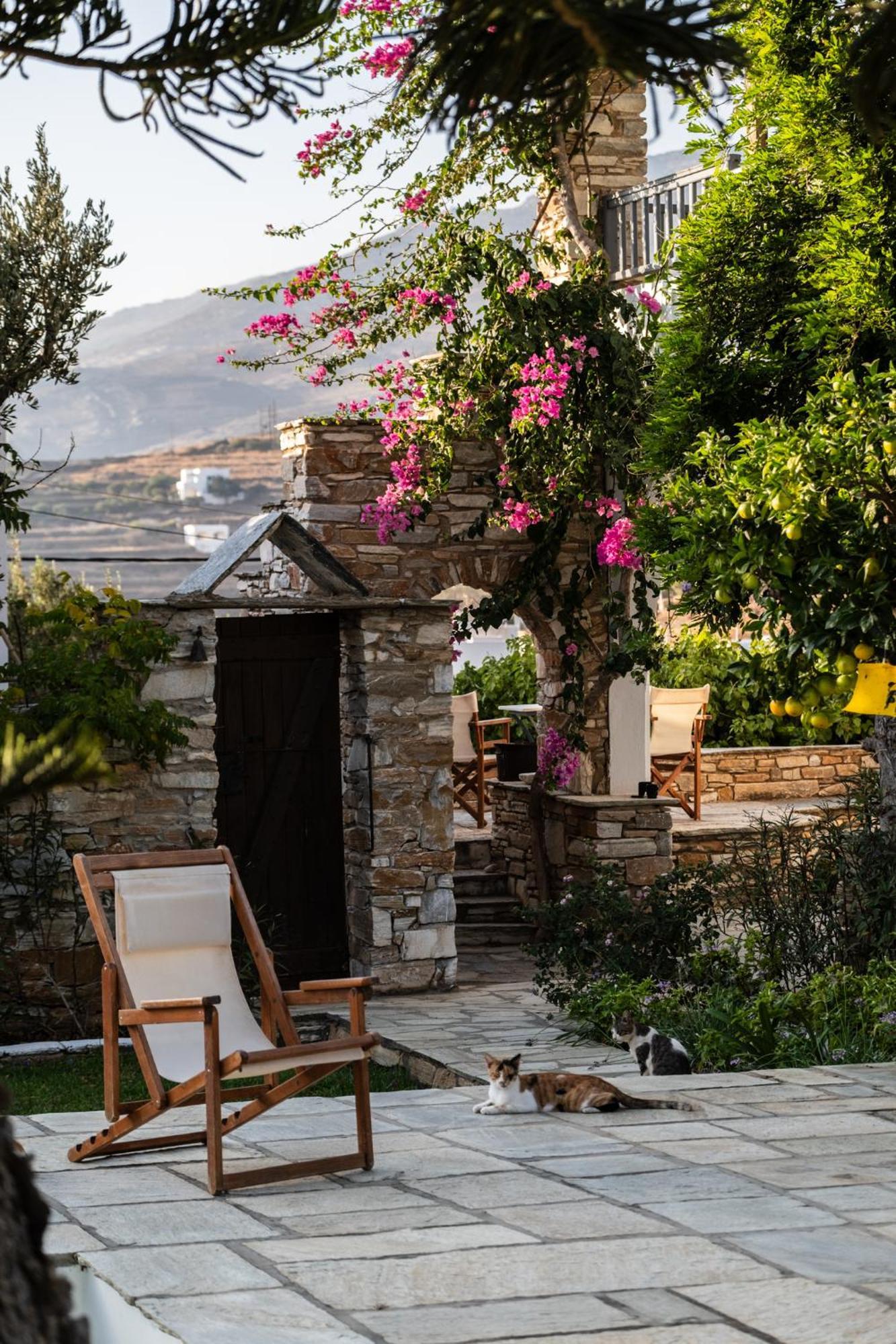 Romano Garden House - Land Tales Agios Romanos Luaran gambar