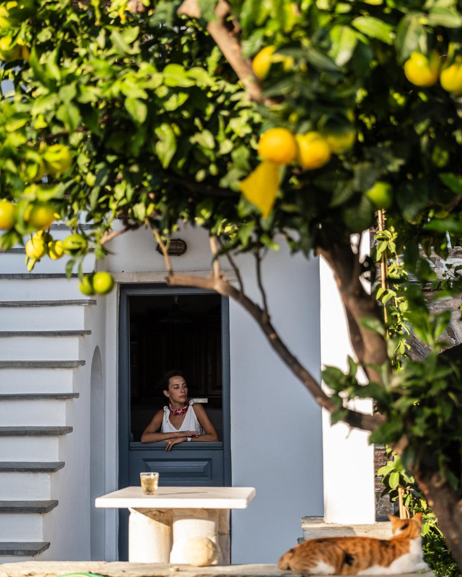 Romano Garden House - Land Tales Agios Romanos Luaran gambar