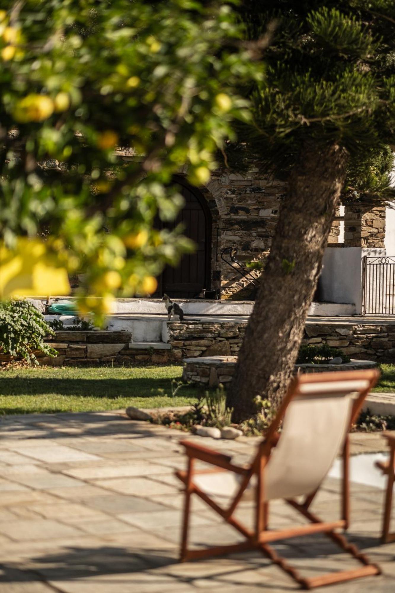 Romano Garden House - Land Tales Agios Romanos Luaran gambar